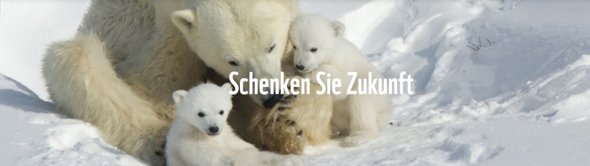 Schenken zum Zweiten: WWF-Mitgliedschaft