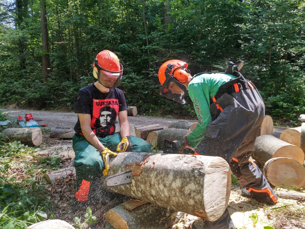 Holzeinsatz zugunsten der Stiftung&nbsp;Rotenbirben