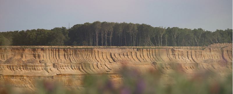 Hambacher Forst 2.JPG