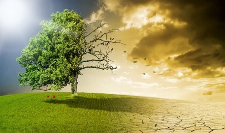 Vortrag: Der Klimawandel stellt sich&nbsp;vor