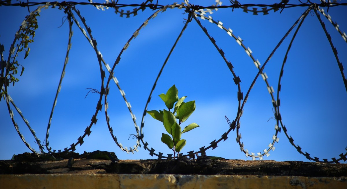 Über die Unfreiheit der&nbsp;Liberalen