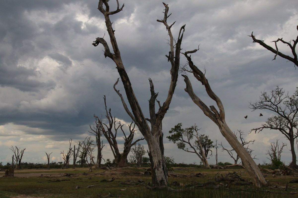 Wie weiter, wenn nichts&nbsp;hilft?