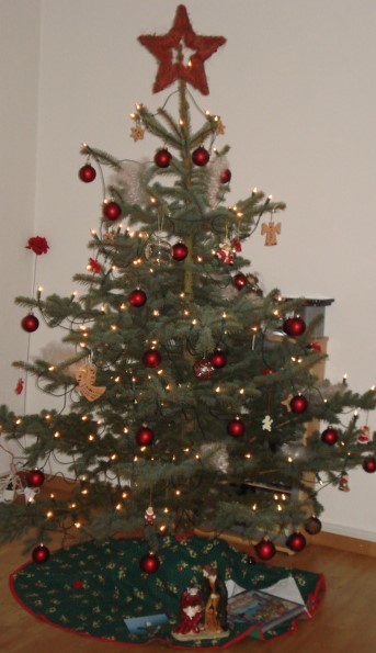 Was lege ich 2019 unter den&nbsp;Weihnachtsbaum?