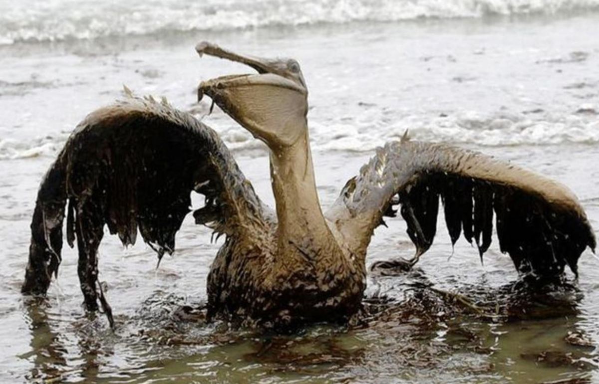 13. Juni 2021: 4 Gründe, das CO2-Gesetz anzunehmen (nicht nur fürs&nbsp;Klima)